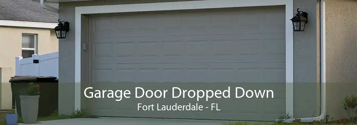 Garage Door Dropped Down Fort Lauderdale - FL